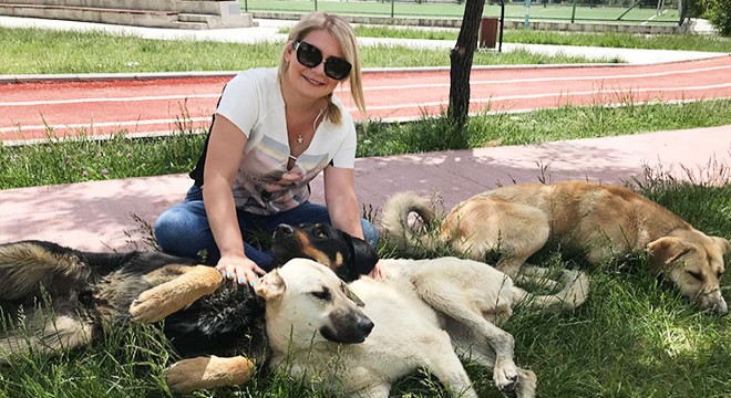 Sitede 'köpek besleme' kavgası
