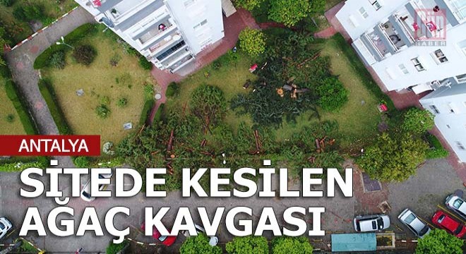 Sitede kesilen ağaçlar oturanları ikiye böldü