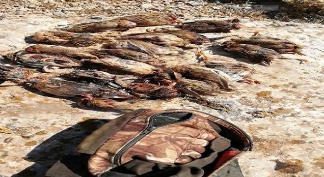 Sivas'ta 75 kaçak avcıya para cezası
