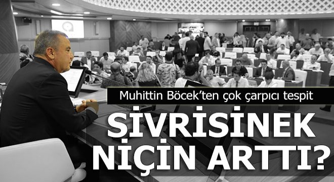 Sivrisinek neden artmış...