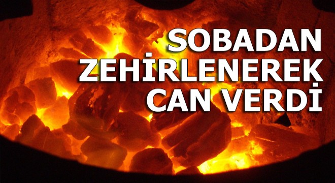 Sobadan zehirlenerek can verdi