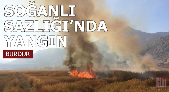 Soğanlı Sazlığı'nda yangın