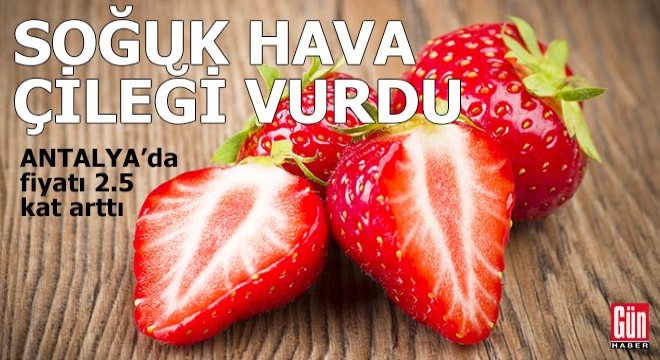 Soğuk hava çileği vurdu, fiyatı 2.5 kat arttı