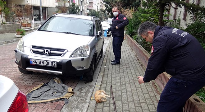 Soğuk havalarda elinizle kaputa vurmadan motoru çalıştırmayın
