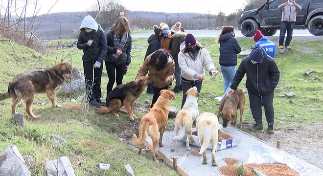 Soğuk kış günlerinde sokak hayvanları unutulmadı