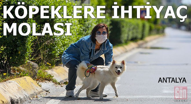 Sokağa çıkma yasağında köpeklere ihtiyaç molası