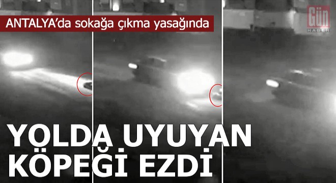 Sokağa çıkma yasağında yolda uyuyan köpeği ezdi