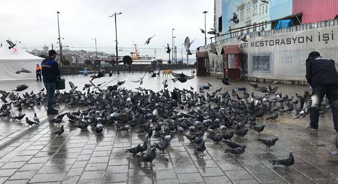 Sokağa çıkma kısıtlamasında sokak hayvanları unutulmadı