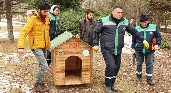 Sokak hayvanları için kulübe yaptılar