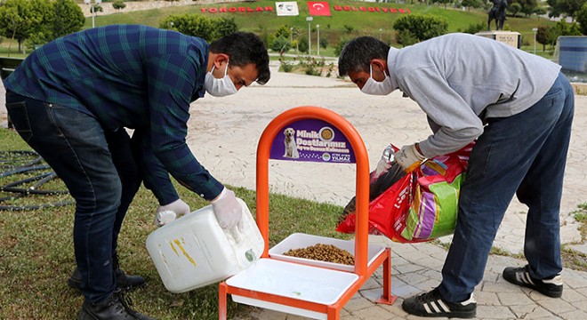 Sokak hayvanları için mama ve su kapları boş bırakılmıyor