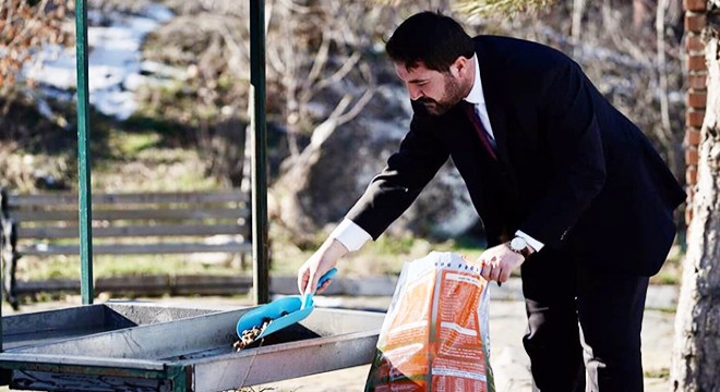 Sokak hayvanları için parklara yem bırakıldı