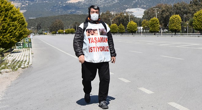 Sokak hayvanları için yollarda