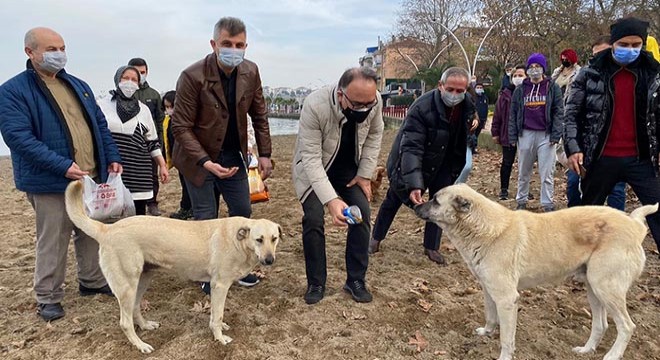 Sokak hayvanlarını beslediler