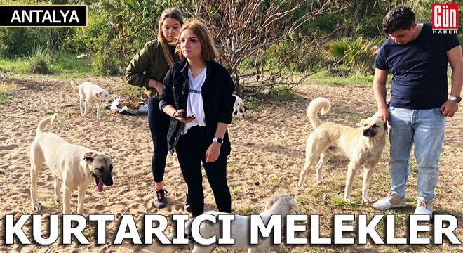 Sokak hayvanlarının 'kurtarıcı melekleri'