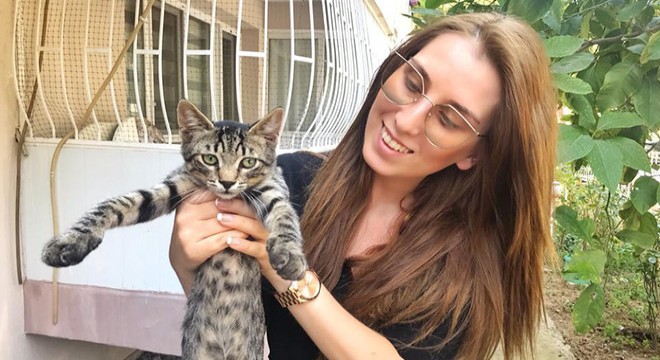 Sokak sokak gezip, kedilere işkence yapanı arıyor