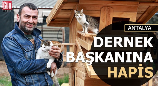 Sokak hayvanları derneği başkanına hapis