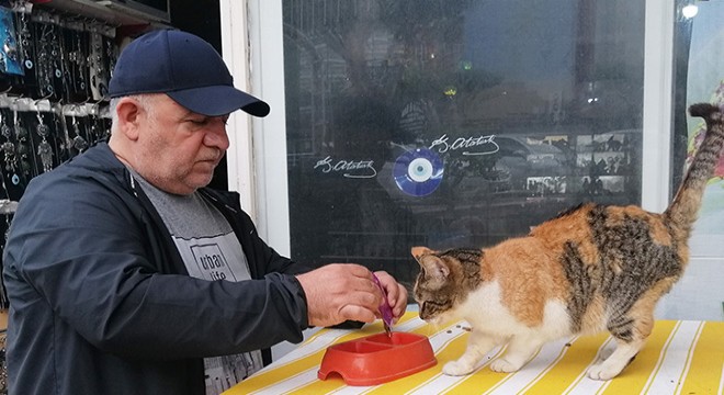 Sokak kedileri için dükkanını kapatmıyor