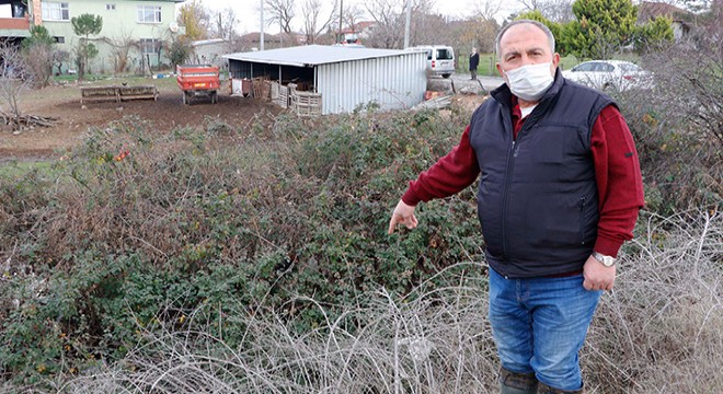 Sokak köpeklerinin saldırdığı ağılda nöbet tutuyor