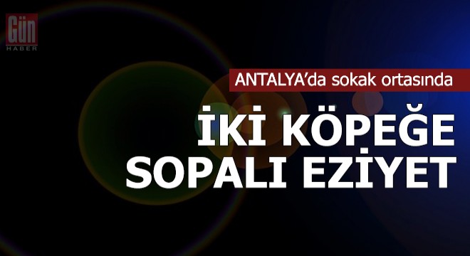 Sokak ortasında iki köpeğe sopalı eziyet