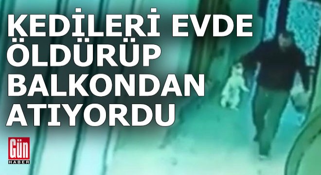 Sokaktan topladığı kedileri evde öldürüp balkondan atıyordu