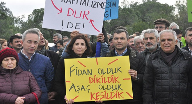 Sorgun Ormanı'nda ağaç eylemi