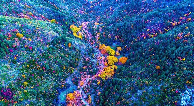 Spil Dağı'ndan sonbahar manzaraları