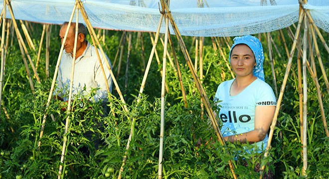 Sporsever gençler, gündüz tarlada akşam sahada