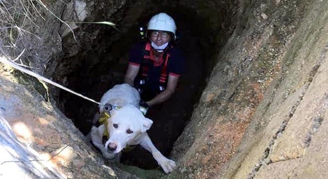 Su kuyusuna düşen köpeği itfaiye kurtardı