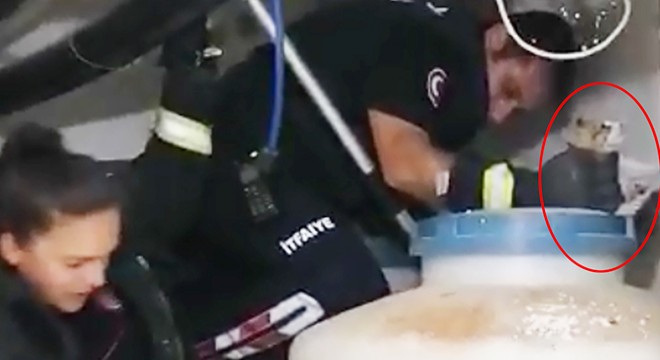 Su tankları arasında sıkışan kedi için seferber oldular