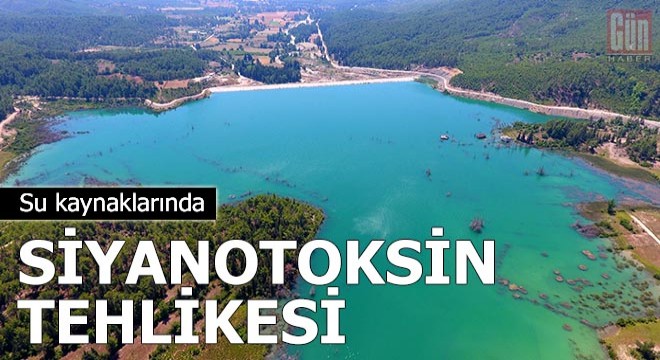 Su kaynaklarında siyanotoksin tehlikesi