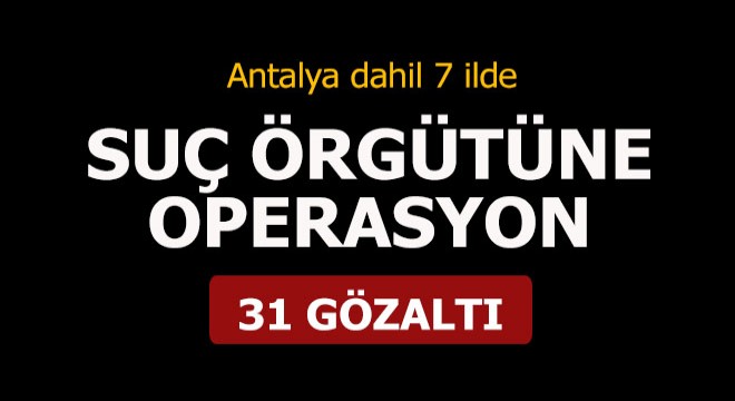 Suç örgütüne operasyon: 31 gözaltı