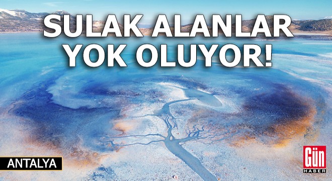 Sulak alanlar yok olma tehlikesiyle karşı karşıya!