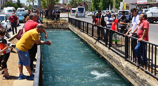 Sulama kanalında akıntıya kapılan 2 gençten 1'i kayboldu