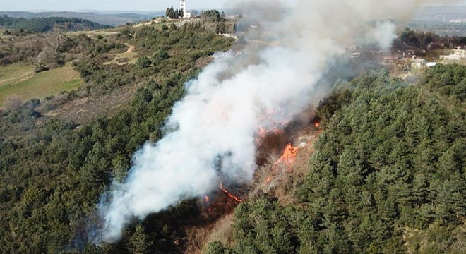 Sultangazi'de orman yangını