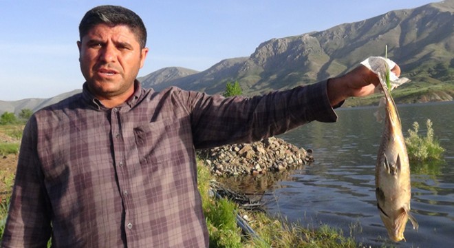 Sürgü Barajı'nda balık ölümleri ve koku tedirginliği