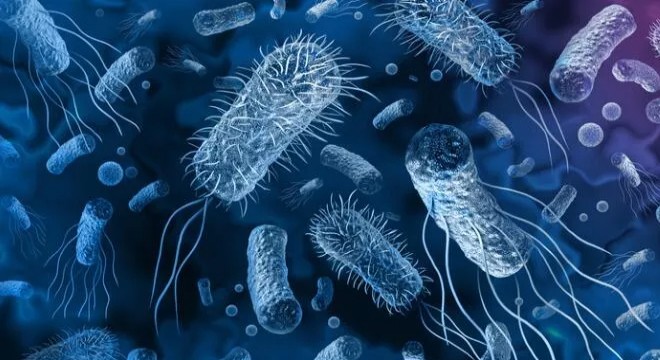 Suriye'de 71 bin 463 kolera vakası görüldü