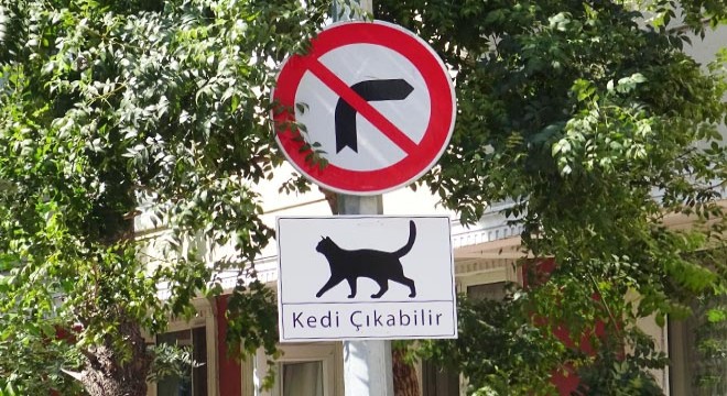 Sürücüler için ‘Kedi Çıkabilir’ tabelaları astılar