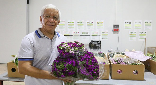 Süs bitkileri ihracatının lideri Antalya'dan