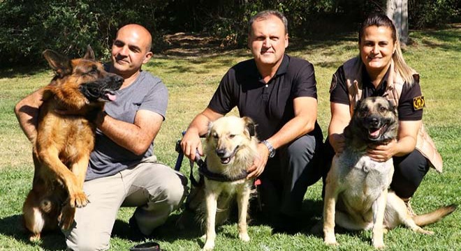 TBMM'nin 'kahraman' köpekleri