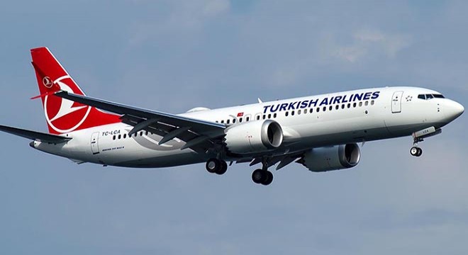 THY, evcil olmayan hayvanların girişine izin vermeyecek
