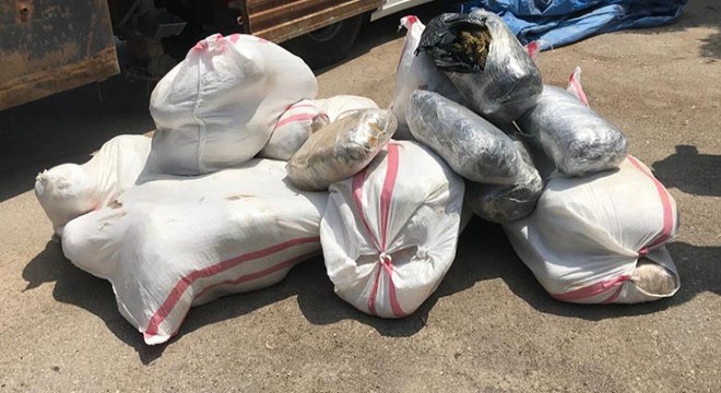 TIR'da 250 kilo esrar ele geçirildi, sürücü tutuklandı