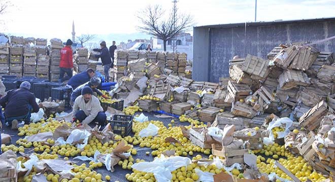 TIR devrildi; tonlarca limon yola döküldü