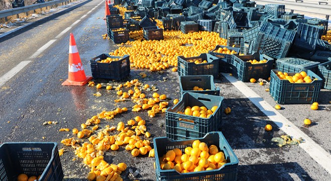 TIR dorsesinin kapağı açıldı; tonlarca limon yola saçıldı