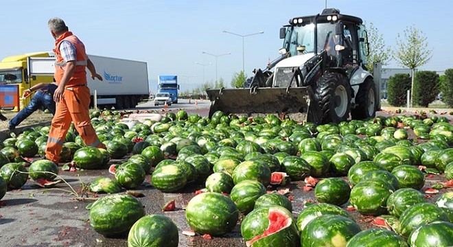 TIR devrildi, yol karpuz tarlasına döndü