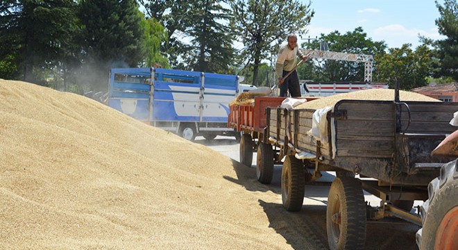 TMO'dan Korkuteli'de arpa satışı