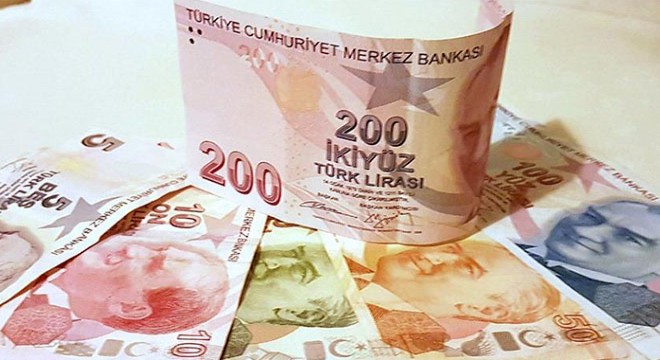 Tabiat parkından izinsiz orkide toplayan 2 kişiye 160 bin lira ceza