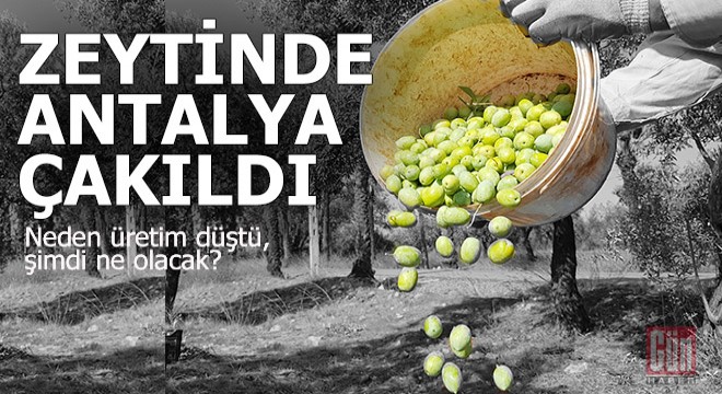 Tahmini kayıp 145 bin ton