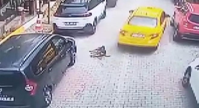 Taksicinin üzerinden geçtiği köpek öldü