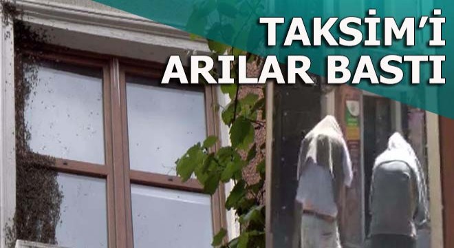 Taksim'i arılar bastı