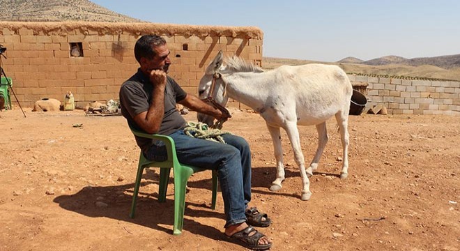 Taksiti ödeyemezse eşeği elinden alınacak